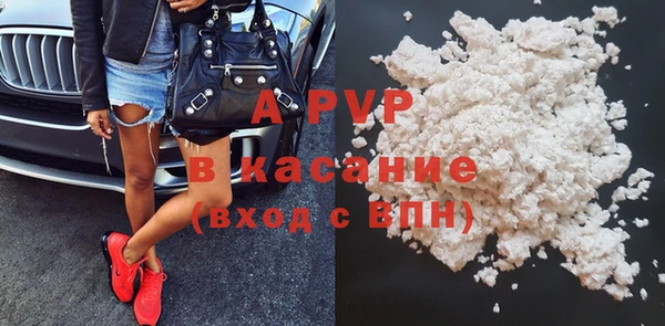 прущие крисы Белокуриха